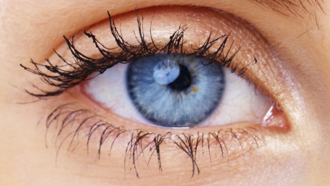 udbytte Minefelt udtale Irriterede øjne | Find de 7 symptomer her - Profil Optik